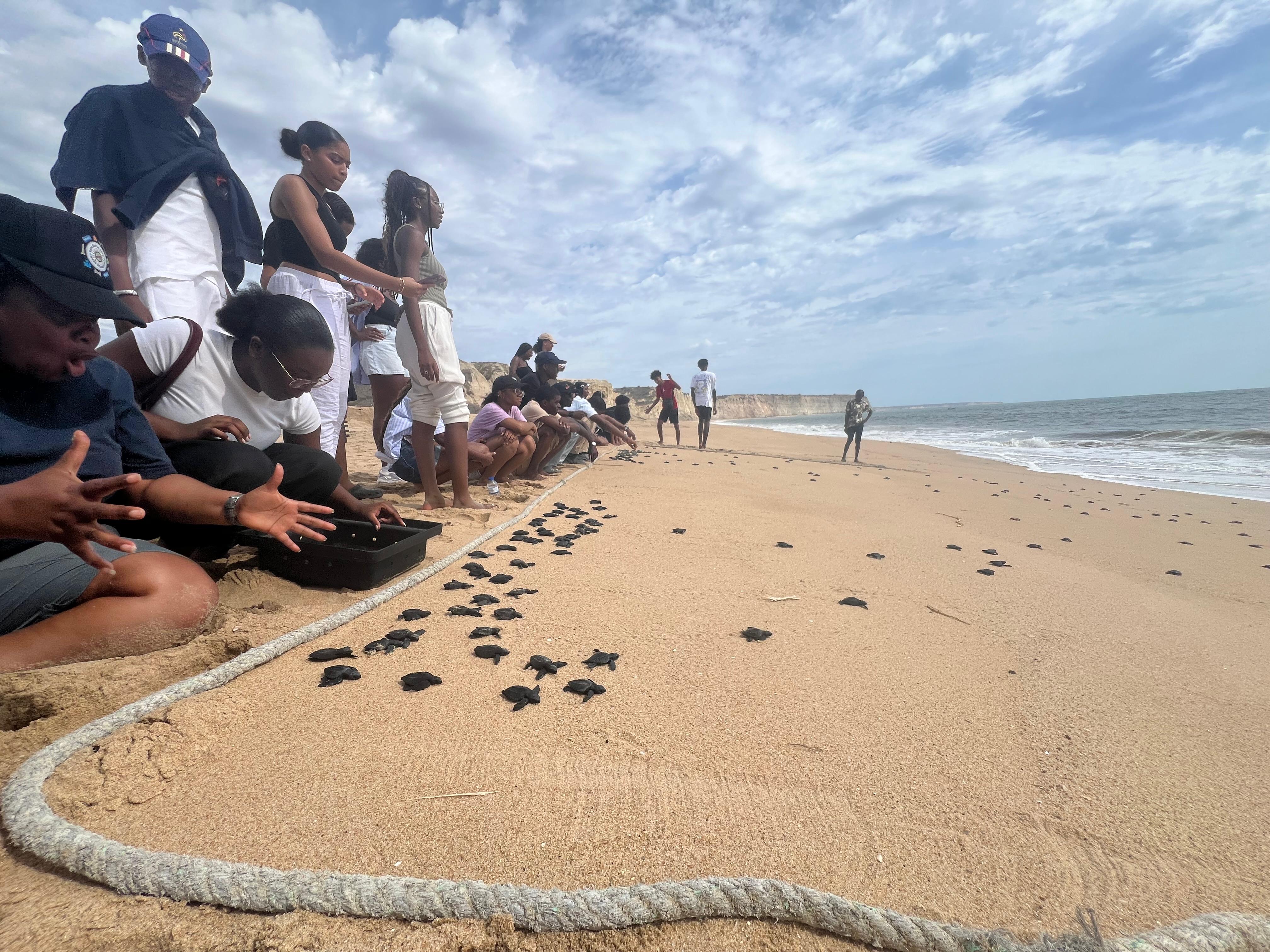 Conservação e Educação Ambiental