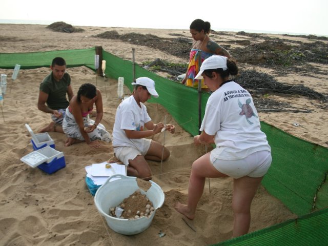 Trabalhos de Campo